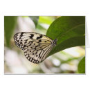 Buscar ninfa tarjetas Macro