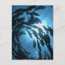 Buscar conformidad postales Unión