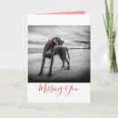 Buscar perros blancos tarjetas Blanco y negro