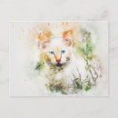 Buscar flores silvestres postales Abstracto