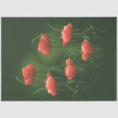 Buscar amapolas papel de seda Flores