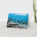 Buscar índice tarjetas Playa tropical