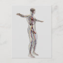 Buscar medico postales Cuerpo humano