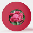 Buscar rosa pelotas de ping pong Flores