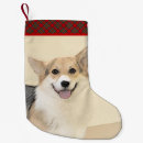 Buscar corgi calcetines navideños Perro