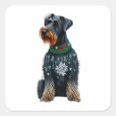 Buscar schnauzer gigante pegatinas Perro