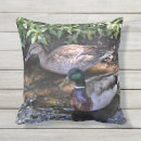 Buscar patos silvestres cojines Naturaleza