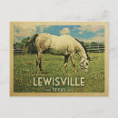 Buscar horse postales Caballo blanco