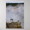 Buscar árbol solitario posters Parque nacional
