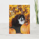 Buscar thanksgiving tarjetas Fall
