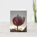 Buscar hippie tarjetas Divertido