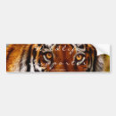 Buscar felinos pegatinas parachoque Tigres