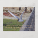 Buscar pájaro en vuelo postales Inspiración