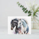 Buscar caballo hermoso postales Ecuestre