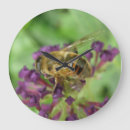 Buscar abeja relojes de pared Insectos