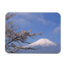 Buscar crecimiento imanes Horizontal