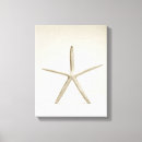 Buscar estrellas lienzos Criaturas del sealife