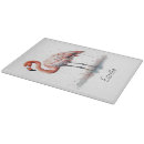 Buscar selva tropical tablas cortar Trópicos