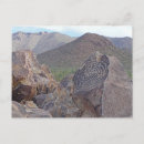 Buscar señales postales Parque nacional