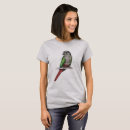 Buscar conure Lindo