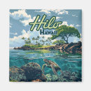 Buscar tortuga hawaiana imanes Isla grande