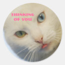 Buscar ojo verde pegatinas 9 º gata