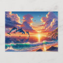 Buscar puesta del sol del delfín postales Mar