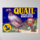 Buscar codorniz posters Vintage