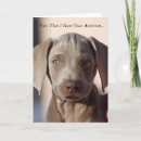 Buscar caninas tarjetas Weimaraner