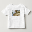 Buscar rajasthan camisetas Arquitectura