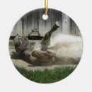 Buscar burros adornos 1 ᵉʳ explotación