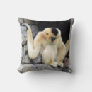 Buscar queso cojines Animal