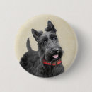 Buscar terrier chapas Dog