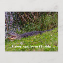 Buscar salud postales Verde