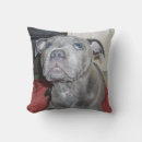 Buscar bull terrier cojines Cachorro
