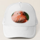 Buscar pluma gorras Rosa