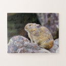 Buscar roedores puzzles Naturaleza