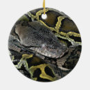 Buscar python adornos Animal