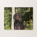 Buscar perro de caza puzzles Animal