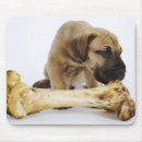 Buscar great dane alfombrillas de raton Escala