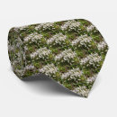 Buscar aceite corbatas Verde