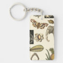 Buscar naturaleza llaveros Mariposa