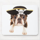 Buscar raza electronica Canina