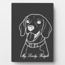 Buscar beagle placas fotograbadas Divertido