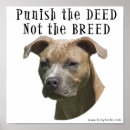 Buscar castigo posters Perro