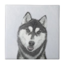 Buscar husky siberiano azulejos Perro
