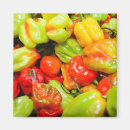 Buscar chili imanes Picante