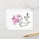 Buscar magnolia postales Minimalista