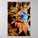 Buscar arce japonés posters Naranja