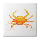 Buscar cangrejos azulejos Maryland